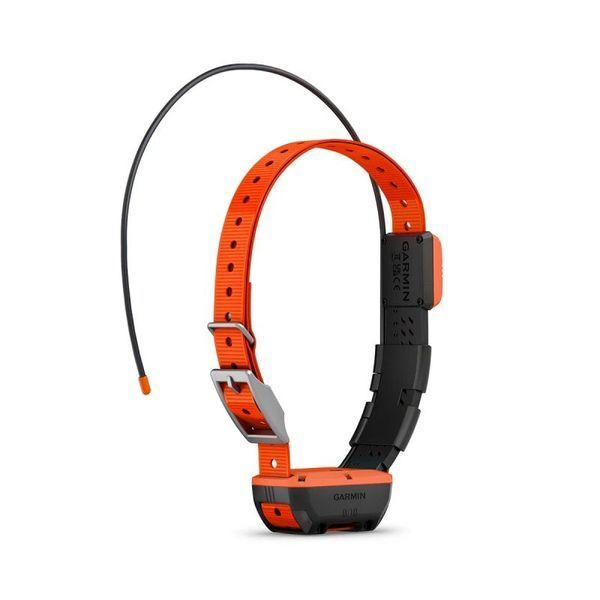 Ошейник для собак Garmin Alpha T 20 010-02447-01 фото