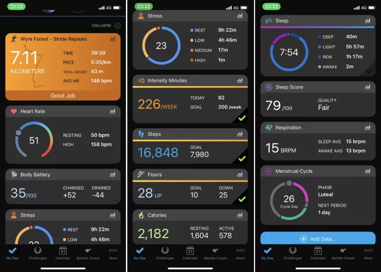 Venu 2 Plus - статистика дня, розгорнутий перегляд